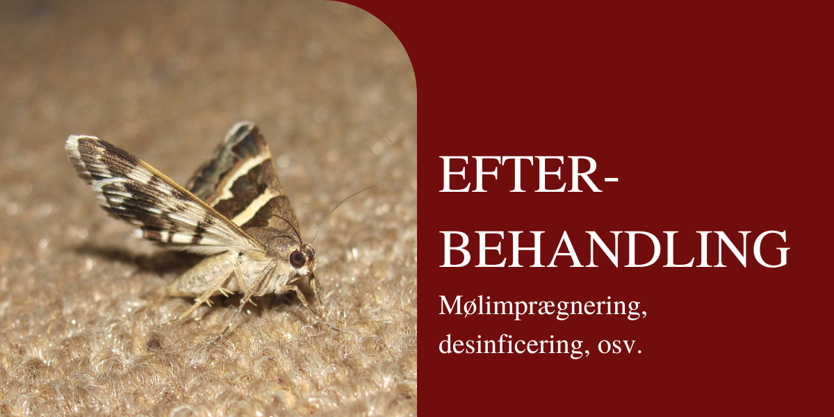 efterbehandling tæpper  mølimprægnering