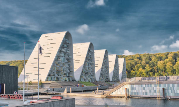 vask af tæpper / tæpperens i Vejle